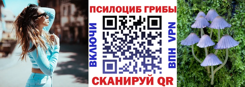 Галлюциногенные грибы мицелий  MEGA сайт  Петрозаводск 