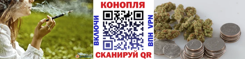 Конопля планчик  Петрозаводск 
